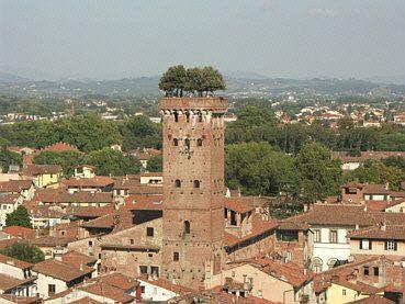 Bilocale abitabile in zona Arancio a Lucca