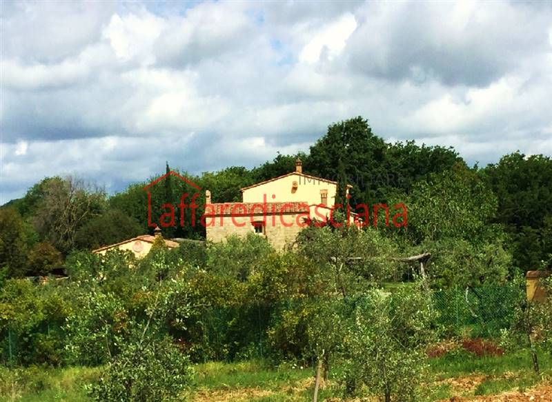 IMG_3185 - Copia.JPG