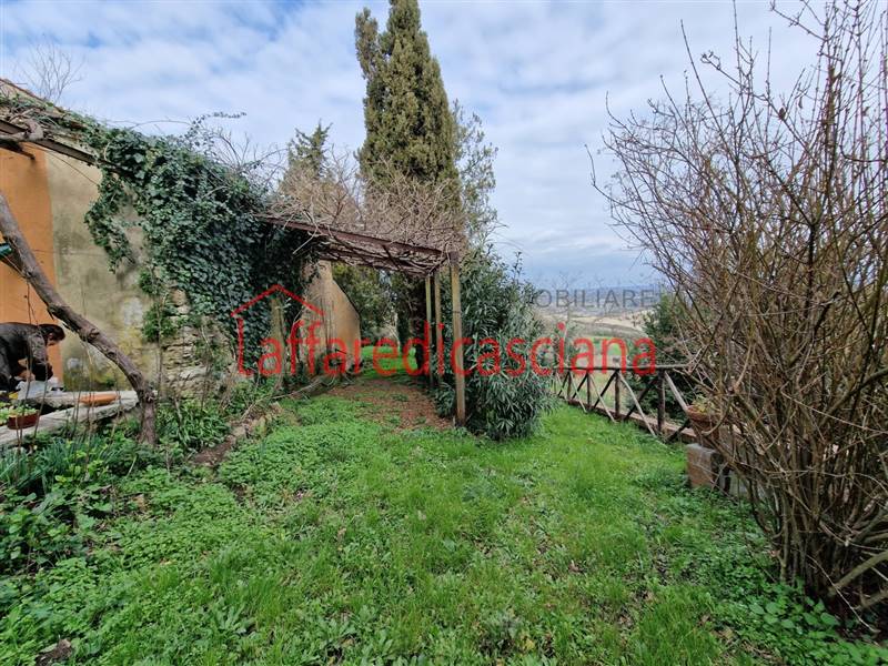 20240208_122550 - Copia.jpg