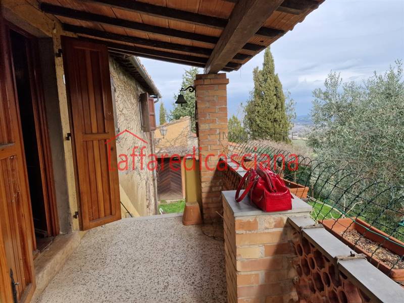 20240208_121340 - Copia.jpg