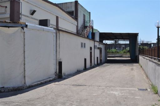 area esterna posteriore