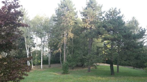 Villa Buguggiate Giardino