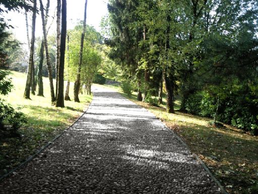 Villa Buguggiate Ingresso e Giardino