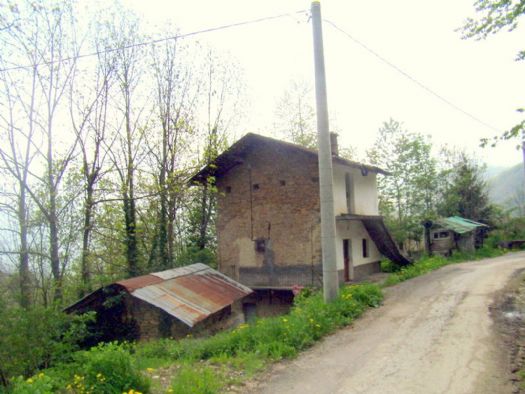 Casetta indipendente nei boschi di castagno