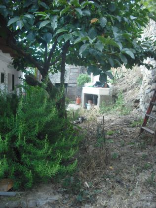  UNA PARTE DEL GIARDINO