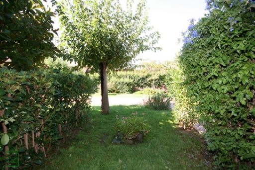 Il Giardino sul retro