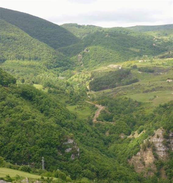 P1020932 (606x640).jpg