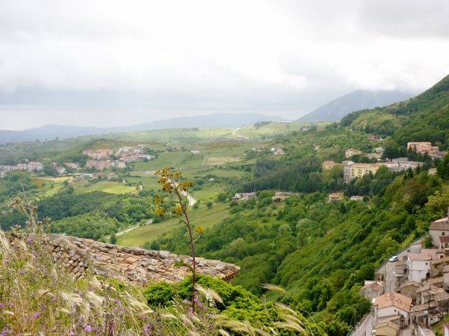 P1020910 (640x479).jpg