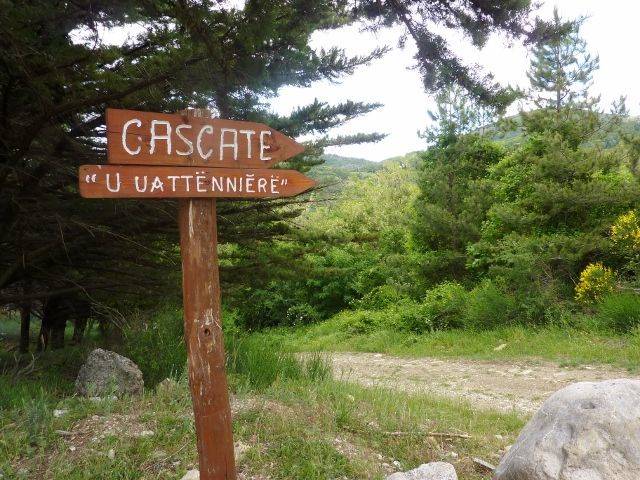 P1030128 (640x480) (640x480).jpg