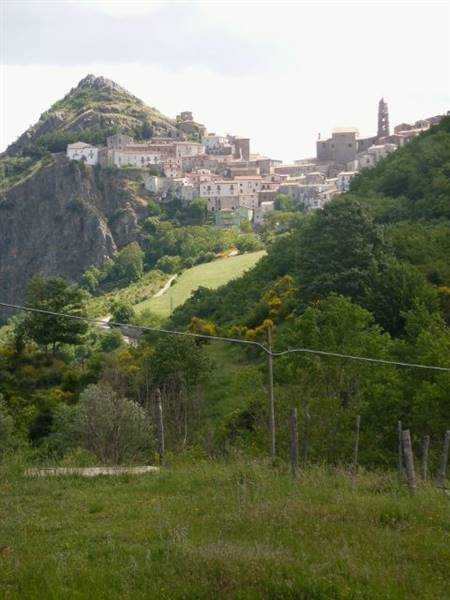 P1030133 (480x640) (480x640).jpg