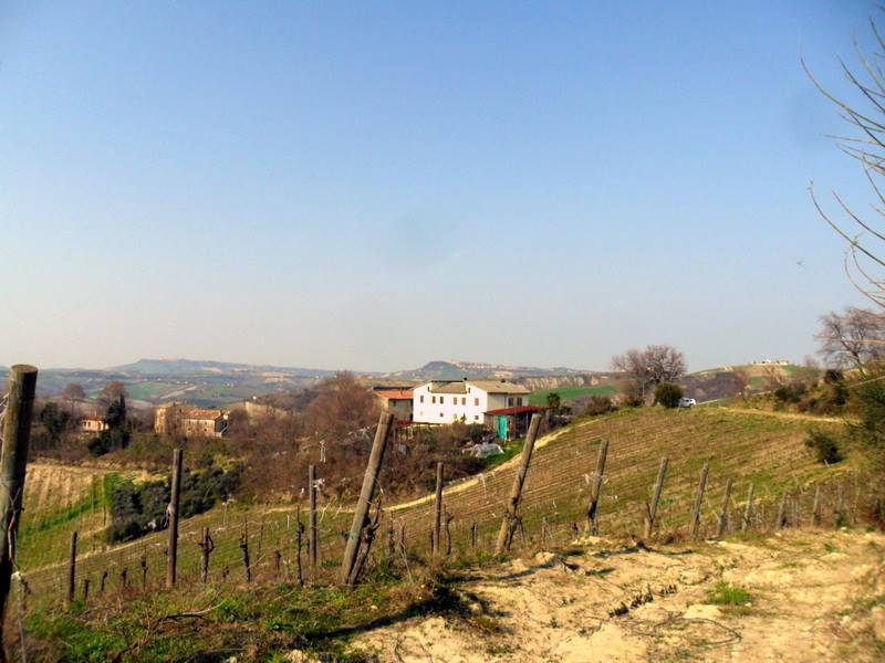 panorama 5.JPG