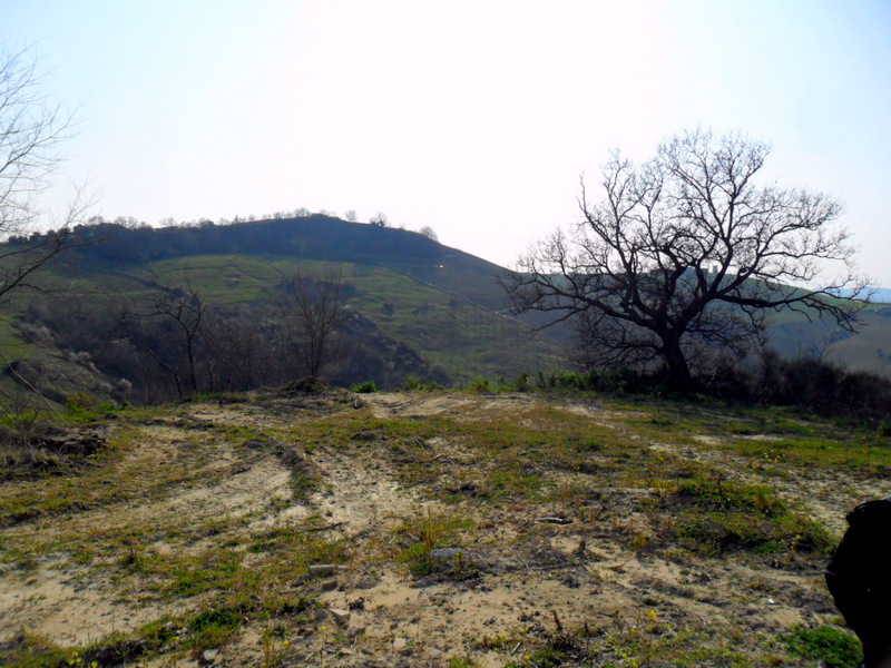 terreno con  residui di rudere.JPG