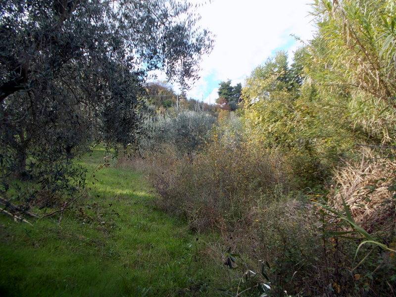 ASCOLI PICENO-Uliveto 14.jpg