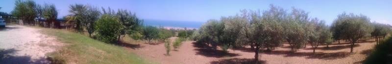 20160701_151646 (132x800).jpg