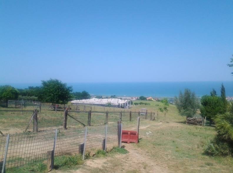 20160701_145314 (800x600).jpg