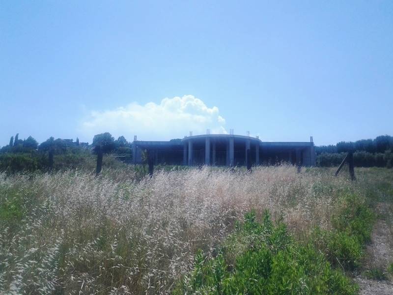 20160701_150851 (800x600).jpg