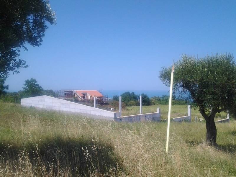 20160701_150729 (800x600).jpg