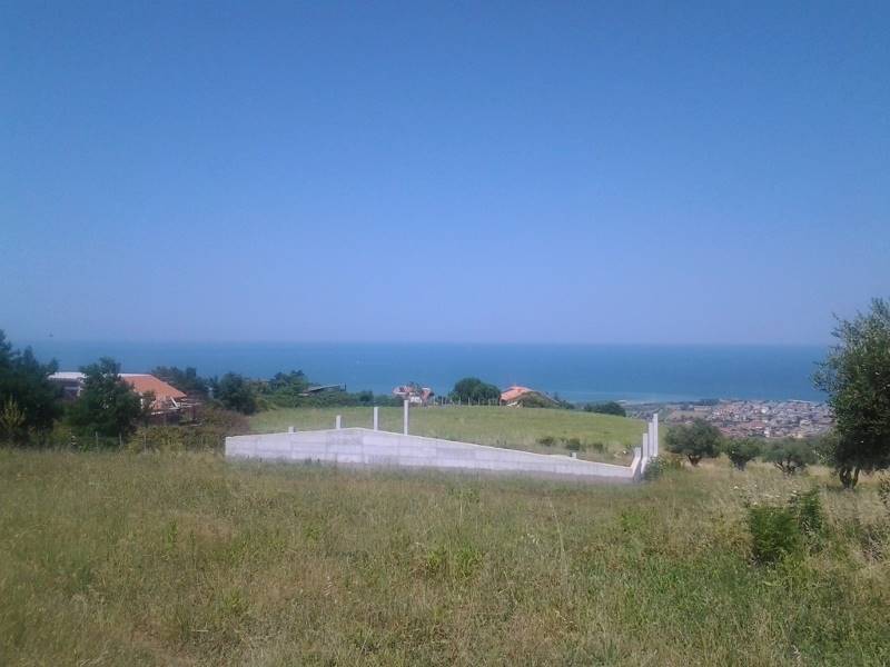 20160701_150629 (800x600).jpg