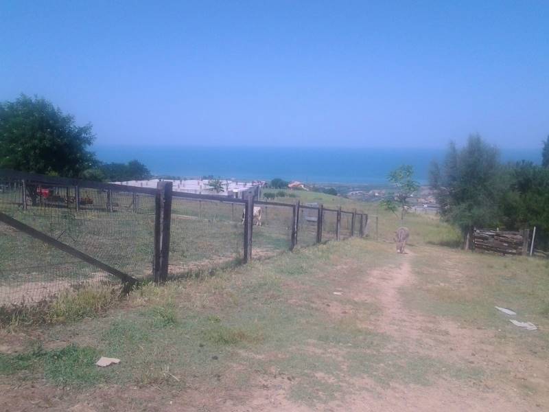 20160701_151450 (800x600).jpg