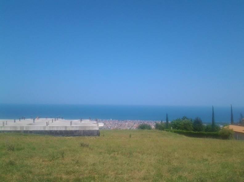 20160701_151310 (800x600).jpg