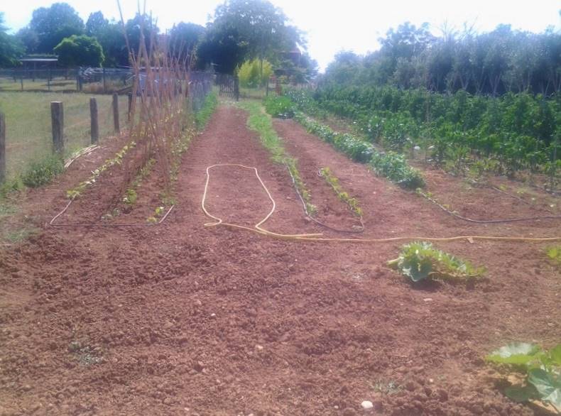 20160701_151131 (800x600).jpg