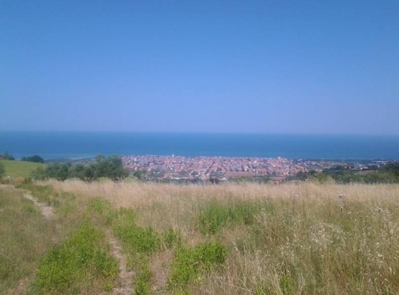 20160701_150806 (800x600).jpg