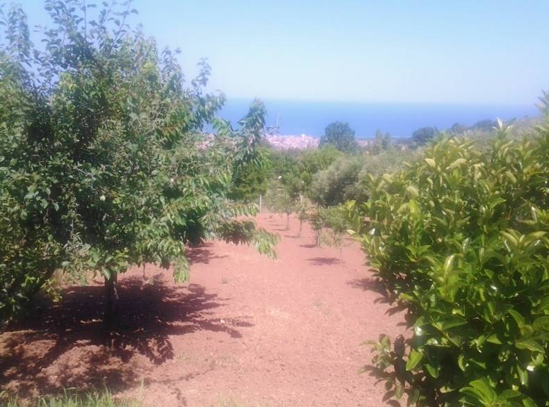 20160701_151529 (800x600).jpg