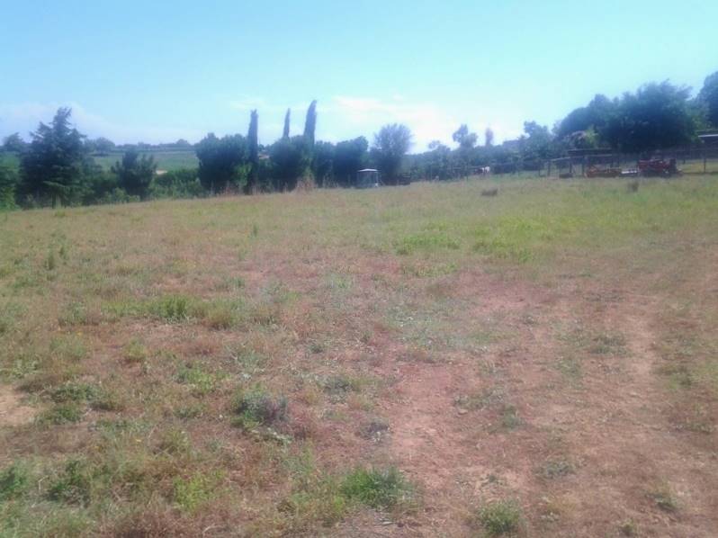 20160701_151111 (800x600).jpg