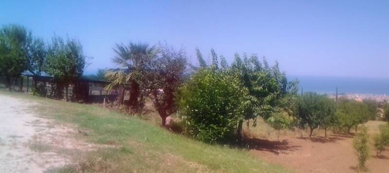 20160701_151608 (358x800).jpg