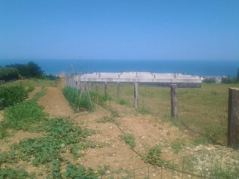 20160701_151242 (800x600).jpg