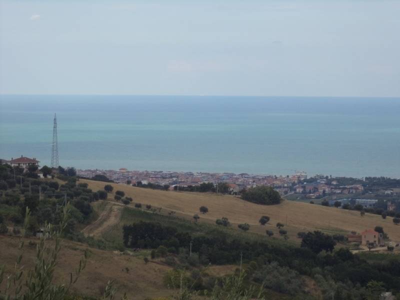 panorama.jpg