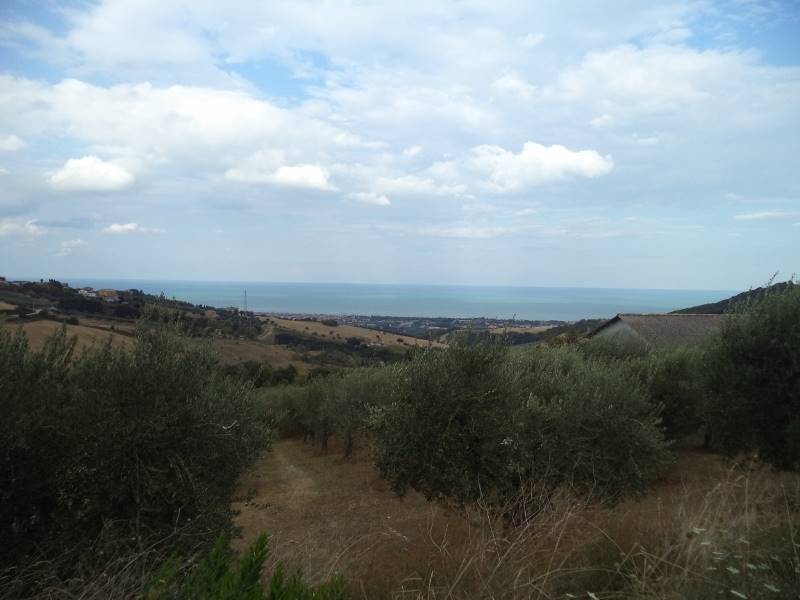 vista panoramica.jpg