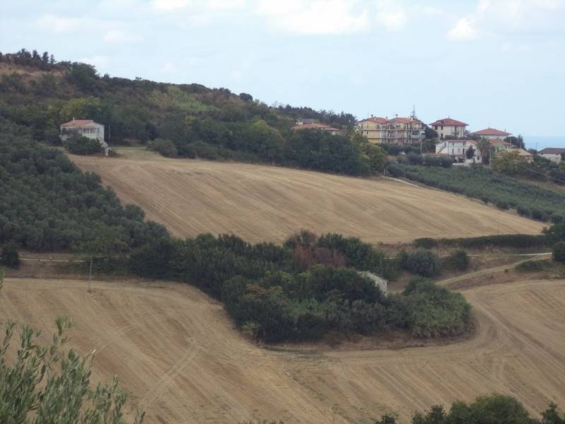 colline circostanti.jpg