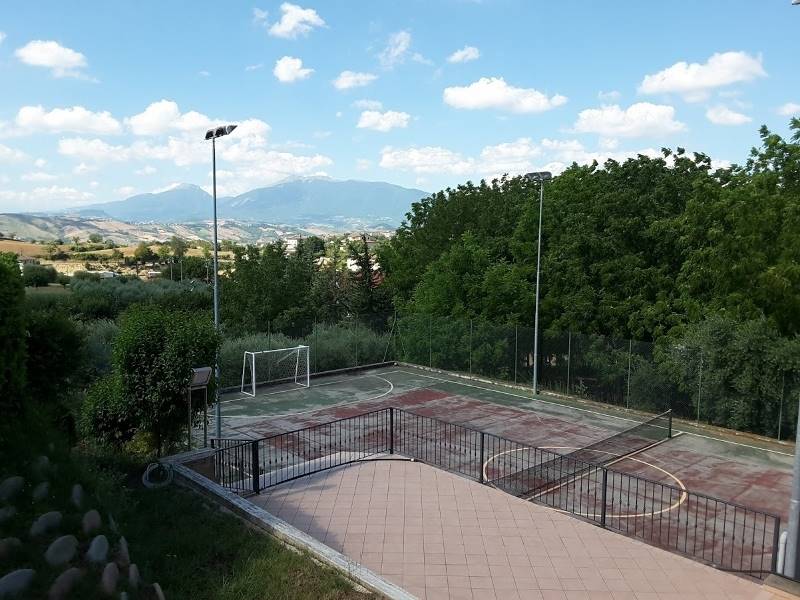 20170717_100748 (800x600).jpg