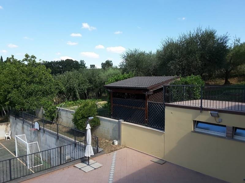 20170717_100746 (800x600).jpg