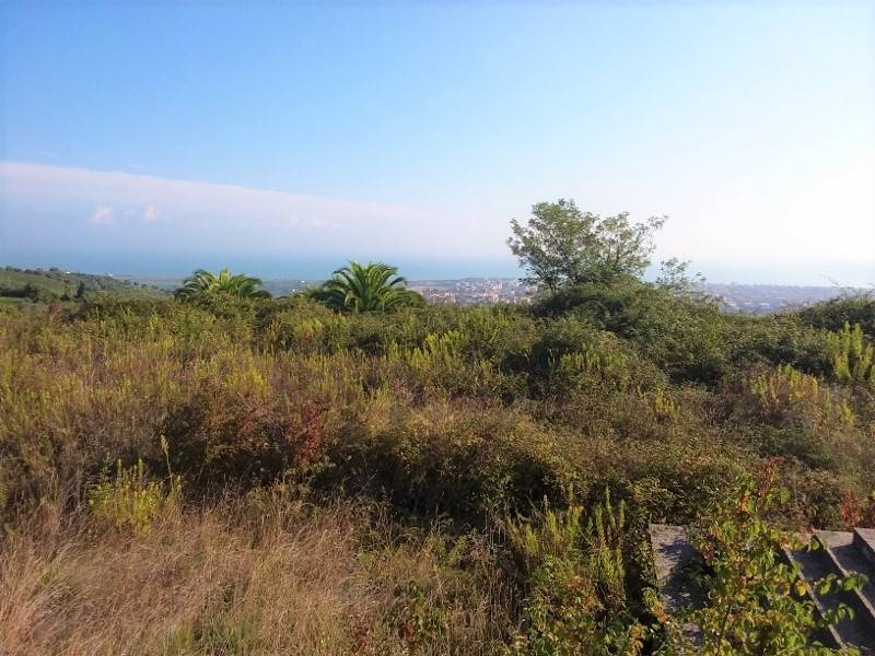 20171006_095201 (800x600).jpg