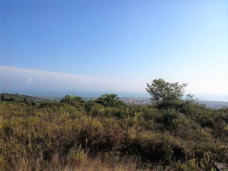 20171006_095209 (800x600).jpg