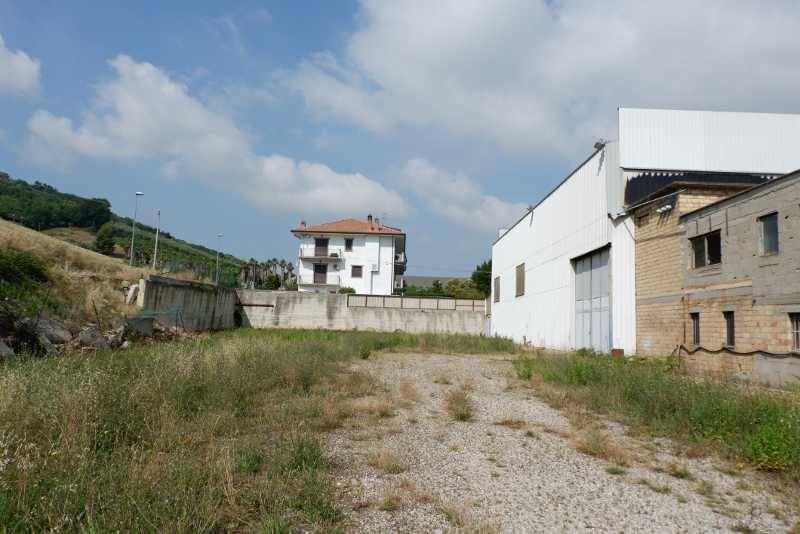 DSCF7700 (800x534).jpg