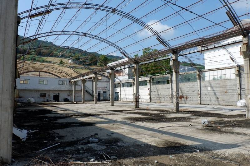 DSCF7689 (800x534).jpg