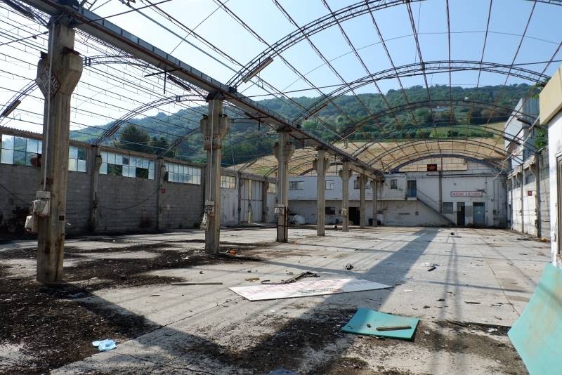 DSCF7690 (800x534).jpg