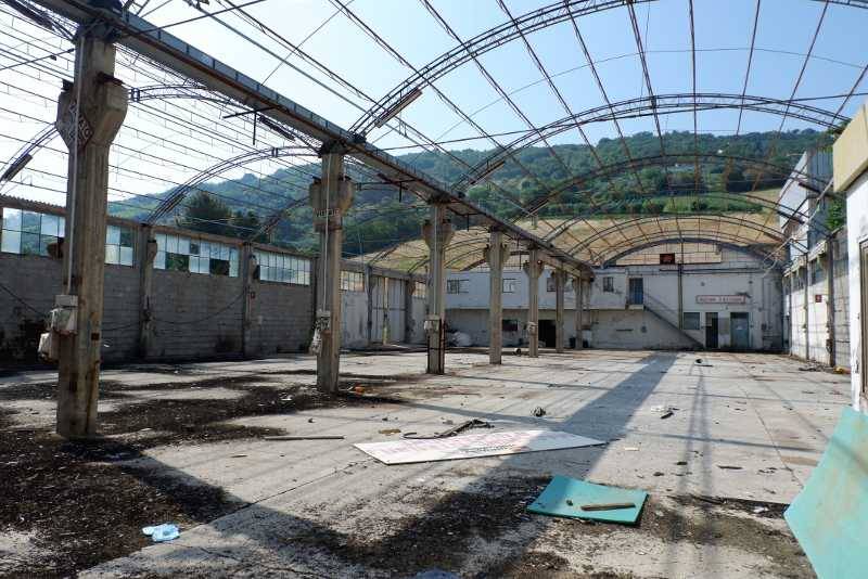 DSCF7690 (800x534).jpg