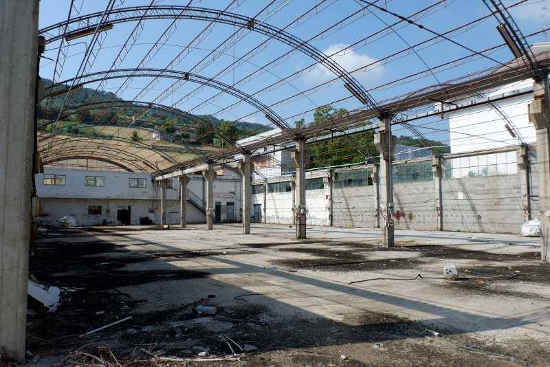 DSCF7689 (800x534).jpg