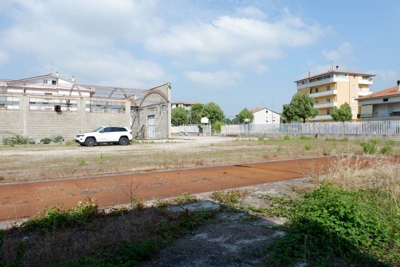 DSCF7691 (800x534).jpg