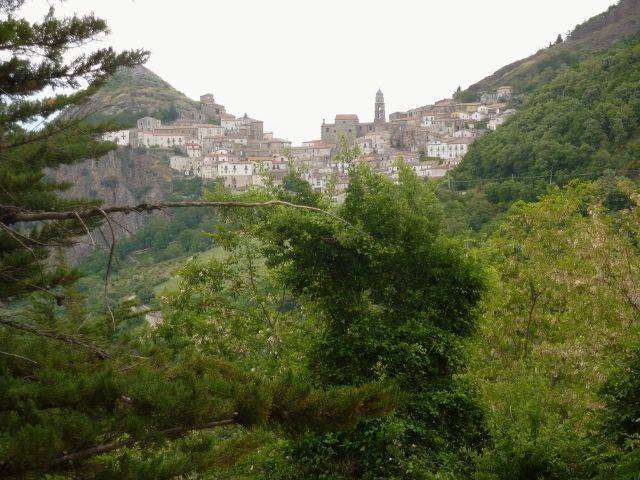 P1030127 (640x480).jpg