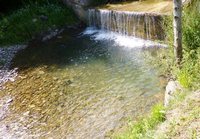 P1030137 (640x446).jpg