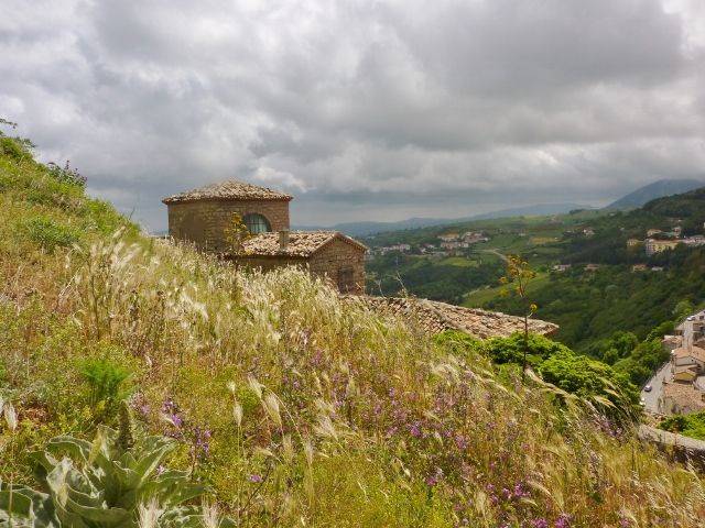 P1020907 (640x480).jpg