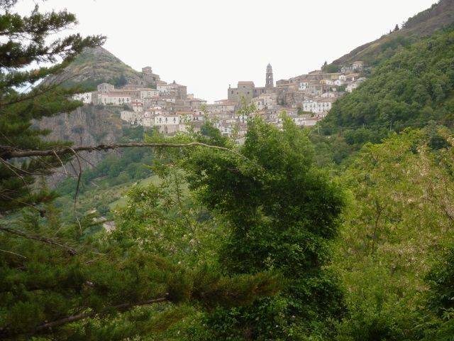 P1030127 (640x480) (640x480).jpg