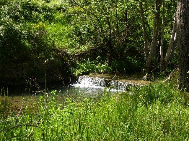 Walk along the waterfalls 3 (640x480).jpg