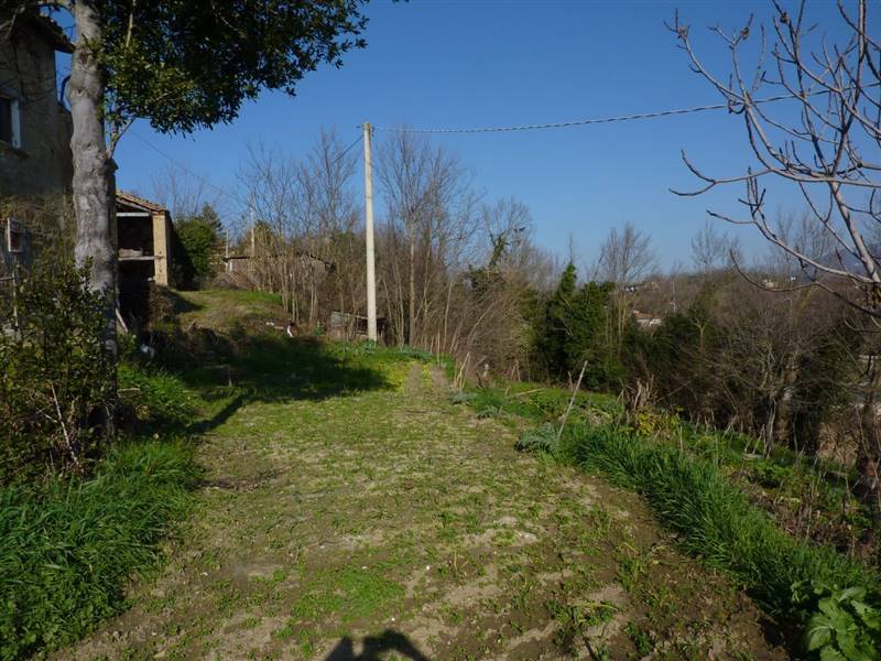 Back side of house.JPG