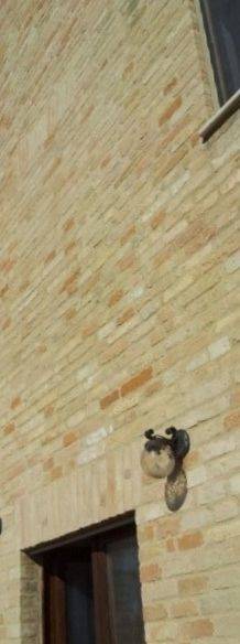 20121002_100752 (384x640).jpg